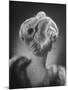 "The Baom" Antaine Hairdo Costing $35-null-Mounted Photographic Print