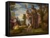 The Baptism of Christ, c.1550-1560-Veronese-Framed Stretched Canvas