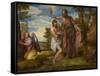 The Baptism of Christ, c.1550-1560-Veronese-Framed Stretched Canvas