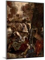 The Baptism of Christ, c.1570-Jacopo Robusti Tintoretto-Mounted Giclee Print