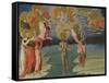 The Baptism of Christ (Predella Pane), 1454-Giovanni di Paolo-Framed Stretched Canvas