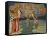 The Baptism of Christ (Predella Pane), 1454-Giovanni di Paolo-Framed Stretched Canvas