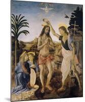 The Baptism of Christ-Leonardo Da Vinci-Mounted Premium Giclee Print