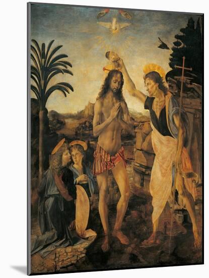 The Baptism of Christ-Andrea Verrocchio-Mounted Giclee Print