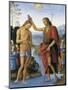 The Baptism of Christ-Pietro Perugino-Mounted Art Print