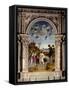 The Baptism of Christ-Giovanni Battista Cima Da Conegliano-Framed Stretched Canvas