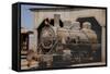 The Baquedano Railway Depot, Chile-Mallorie Ostrowitz-Framed Stretched Canvas