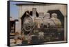 The Baquedano Railway Depot, Chile-Mallorie Ostrowitz-Framed Stretched Canvas