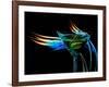 The Bar at the End of the Universe 3-Ursula Abresch-Framed Photographic Print