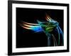 The Bar at the End of the Universe 3-Ursula Abresch-Framed Photographic Print