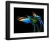 The Bar at the End of the Universe 3-Ursula Abresch-Framed Photographic Print