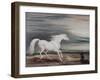 the Barb Charger Marengo-John Ward-Framed Giclee Print