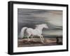 the Barb Charger Marengo-John Ward-Framed Giclee Print