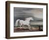 the Barb Charger Marengo-John Ward-Framed Giclee Print