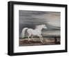the Barb Charger Marengo-John Ward-Framed Giclee Print