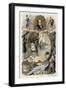 The Barber of Seville-Gioachino Rossini-Framed Giclee Print