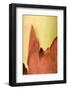 The Bark of a Madrone Tree Peels in the Abstract Shapes of Granite Spires in Washington-Jay Goodrich-Framed Photographic Print