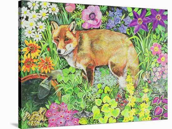 The Barnet Fox-Hilary Jones-Stretched Canvas