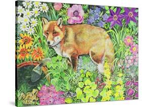 The Barnet Fox-Hilary Jones-Stretched Canvas