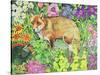 The Barnet Fox-Hilary Jones-Stretched Canvas