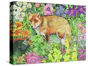 The Barnet Fox-Hilary Jones-Stretched Canvas