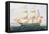 The Barque `Cormorant'-English-Framed Stretched Canvas