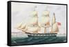 The Barque `Cormorant'-English-Framed Stretched Canvas