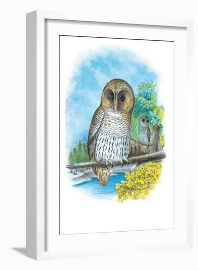 The Barred Owl-Theodore Jasper-Framed Art Print