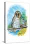 The Barred Owl-Theodore Jasper-Stretched Canvas