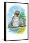 The Barred Owl-Theodore Jasper-Framed Stretched Canvas