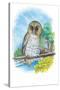 The Barred Owl-Theodore Jasper-Stretched Canvas