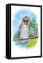 The Barred Owl-Theodore Jasper-Framed Stretched Canvas