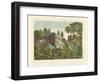 The Basalt Columns at the Kitzhammer of Meissner-null-Framed Giclee Print