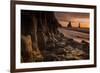 The basalt rock formations in the sea on Reynisfjara Beach in Vik, Iceland at sunrise.-Alex Saberi-Framed Photographic Print