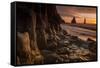 The basalt rock formations in the sea on Reynisfjara Beach in Vik, Iceland at sunrise.-Alex Saberi-Framed Stretched Canvas