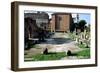 The Basilica Aemilia, Rome, Italy-A Lorenzini-Framed Photographic Print