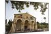 The Basilica of the Agony (Church of All Nations) at the Garden of Gethsemane-Yadid Levy-Mounted Photographic Print