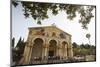 The Basilica of the Agony (Church of All Nations) at the Garden of Gethsemane-Yadid Levy-Mounted Photographic Print