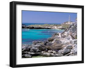 The Basin, Rottnest Island, Perth Area, Western Australia, Australia-Walter Bibikow-Framed Premium Photographic Print