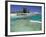 The Basin, Rottnest Island, Perth Area, Western Australia, Australia-Walter Bibikow-Framed Photographic Print