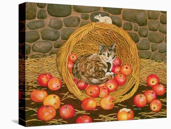 The Basket-Mouse-Ditz-Stretched Canvas