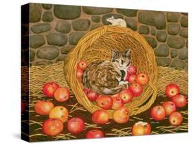 The Basket-Mouse-Ditz-Stretched Canvas