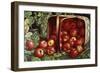 The Basket of Apples-Levi Wells Prentice-Framed Giclee Print