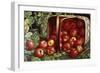The Basket of Apples-Levi Wells Prentice-Framed Giclee Print