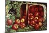 The Basket of Apples-Levi Wells Prentice-Mounted Giclee Print