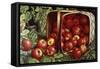 The Basket of Apples-Levi Wells Prentice-Framed Stretched Canvas