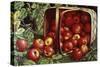 The Basket of Apples-Levi Wells Prentice-Stretched Canvas