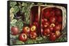 The Basket of Apples-Levi Wells Prentice-Framed Stretched Canvas