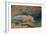 The Bass Rock, C.1824-J. M. W. Turner-Framed Giclee Print