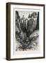 The Bastei Bridge, Saxon Switzerland, Sachsische Schweiz, Bastei, Germany, 19th Century-null-Framed Giclee Print